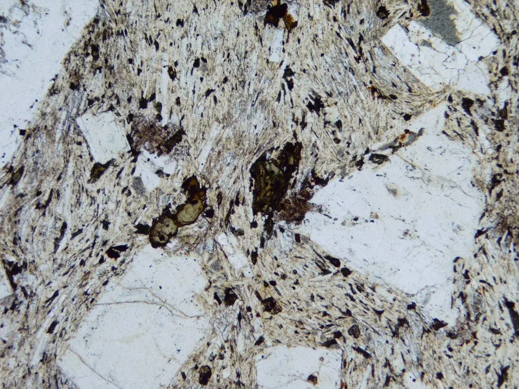 Traquita: roca volcánica clara de aspecto compacto