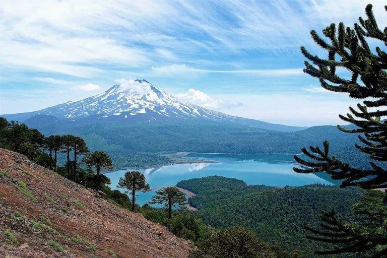 volcán llaima